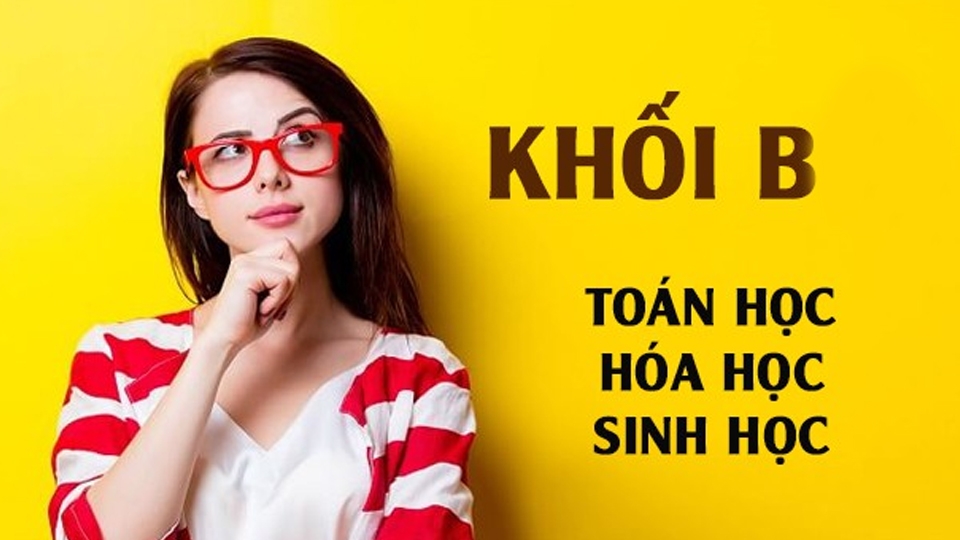 Khối B