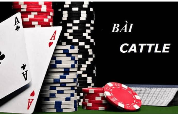 Mẹo Giữ Bài Và Gài Bẫy Đối Thủ Trong Catte Sunwin Đỉnh Cao